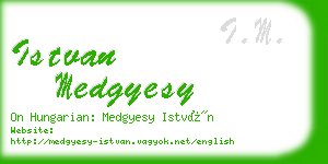 istvan medgyesy business card